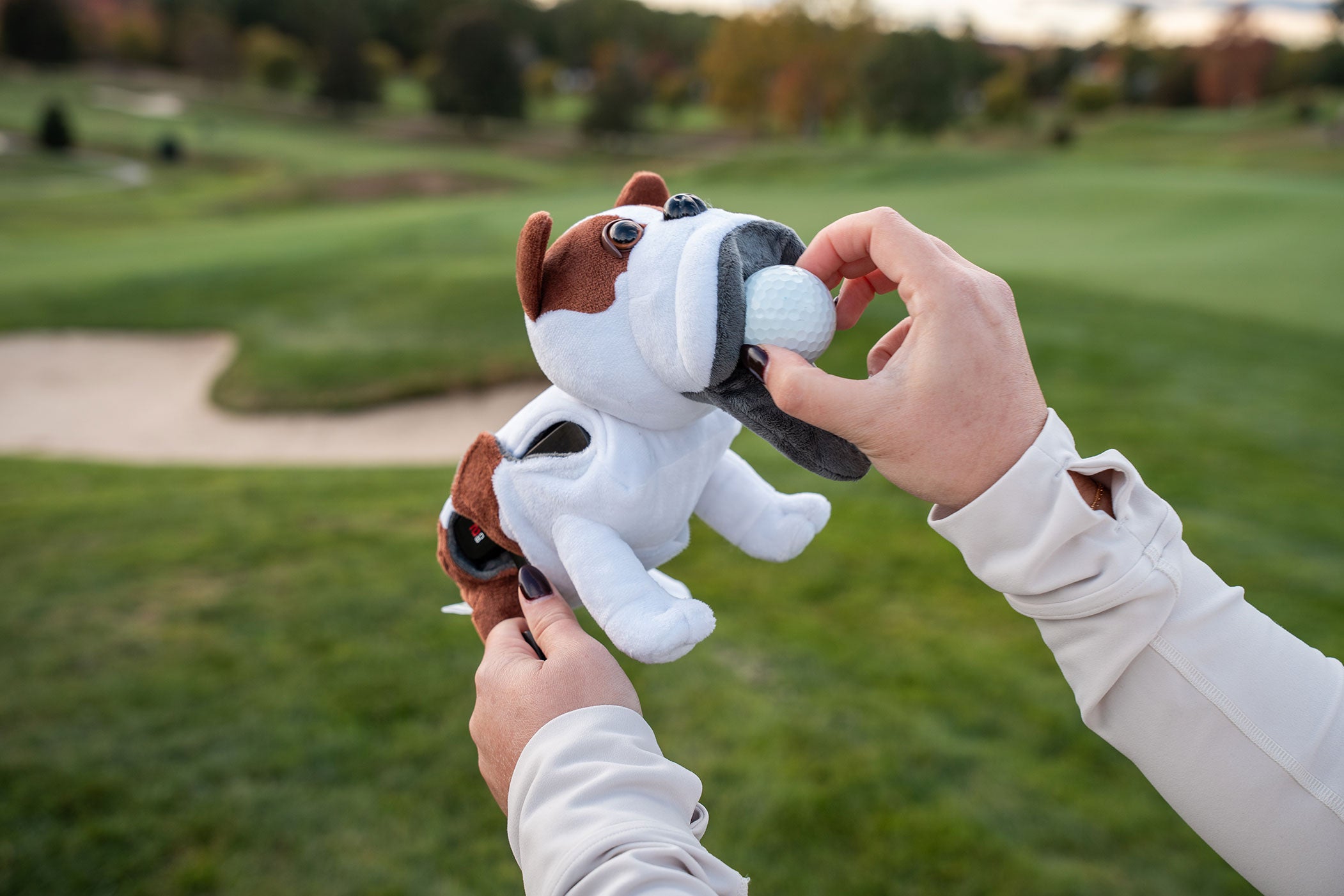 French Bull Dog Flatstick