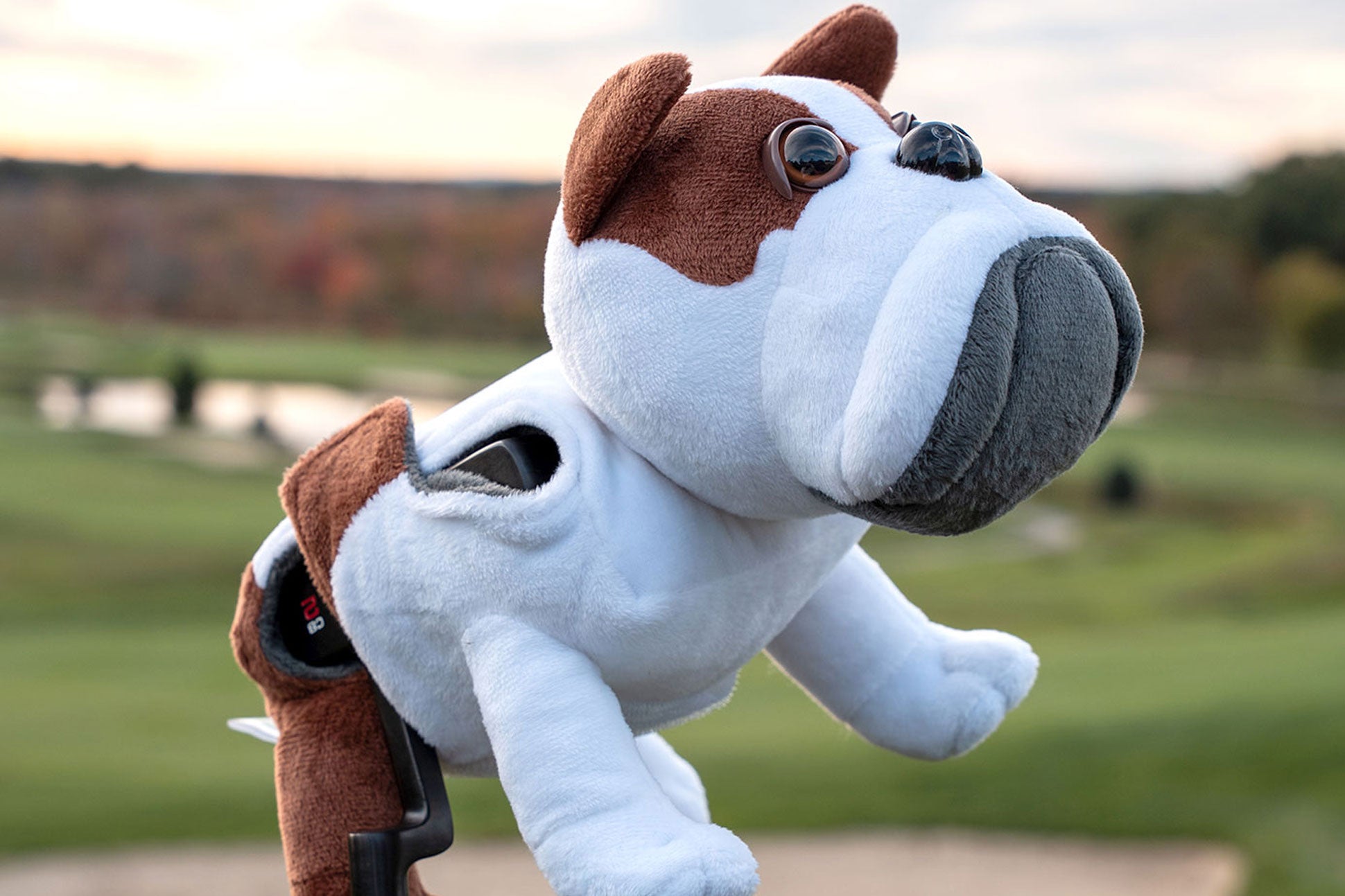 French Bull Dog Flatstick