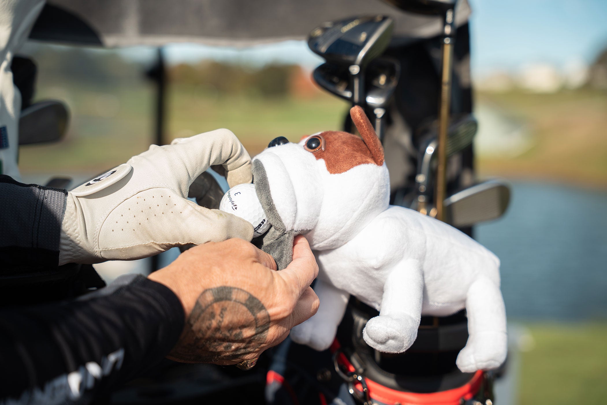 French Bull Dog Flatstick