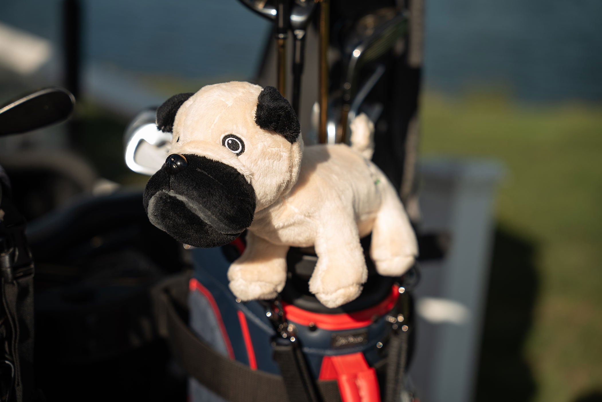 Pug Dog Flatstick