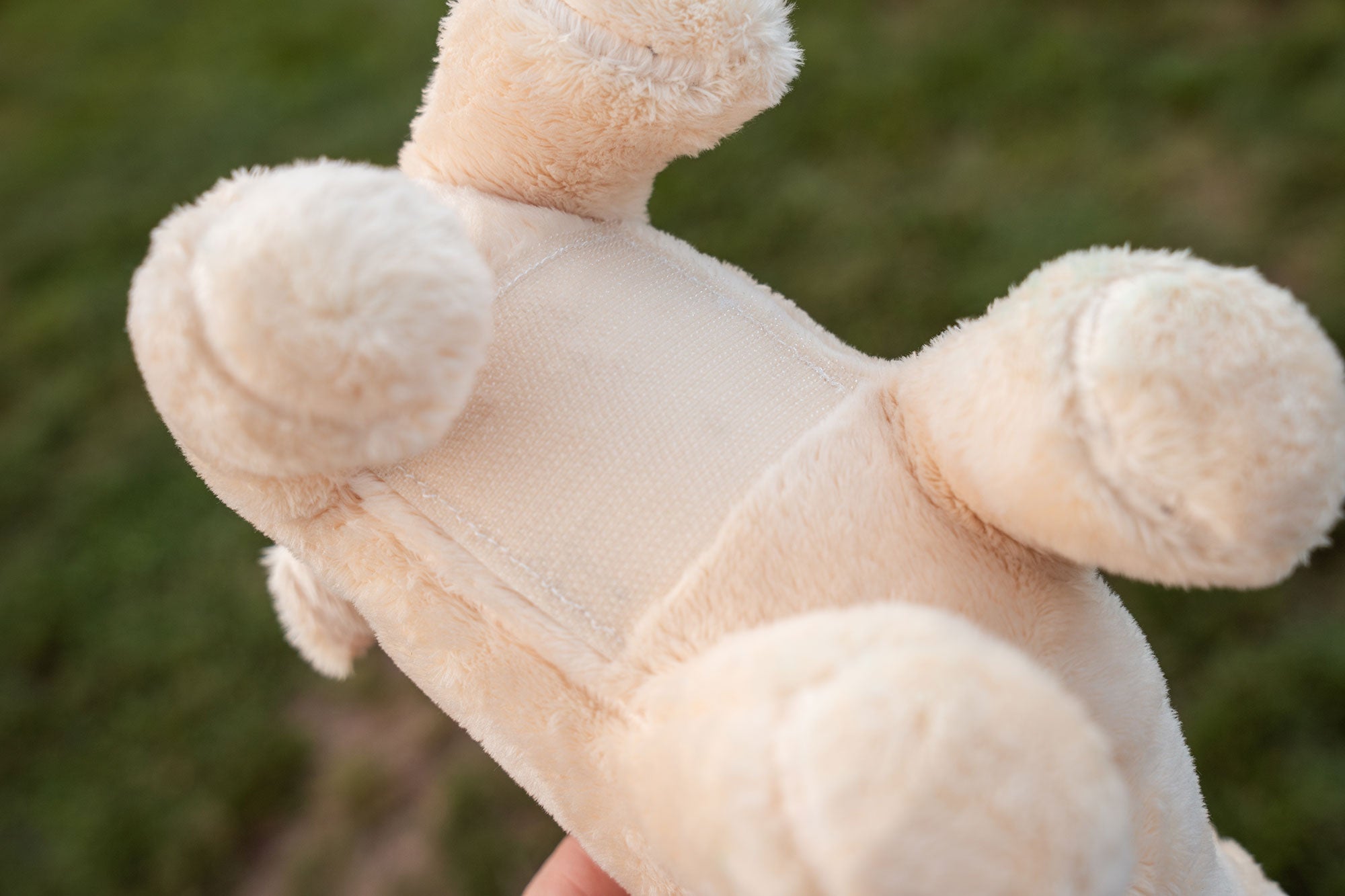 Pug Dog Flatstick